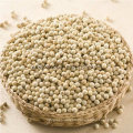 New Crop Chinese White Pepper, Pepper Powder